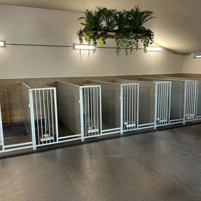 WhatsApp Image 2026-01-20 at 11.26.29.jpeg