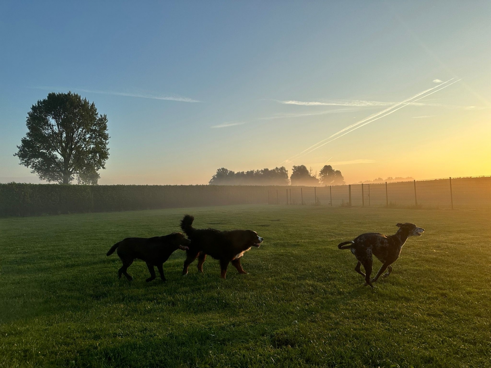 herfst 1.jpg