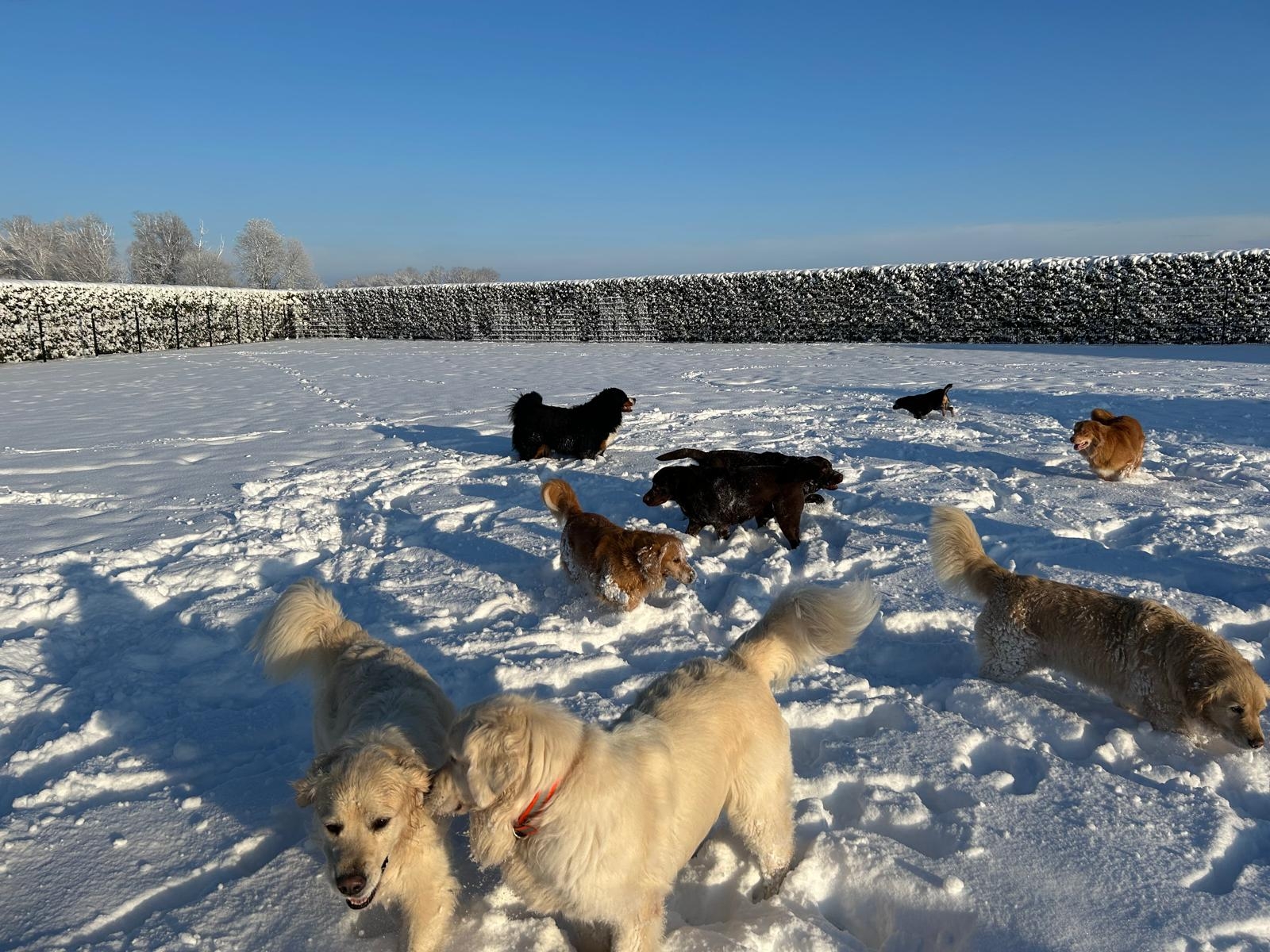 WhatsApp Image 2026-01-20 at 11.19.41 (1).jpeg